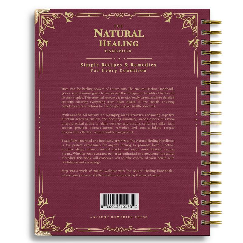 The Natural Healing Handbook