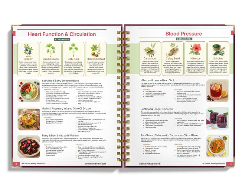 The Natural Healing Handbook