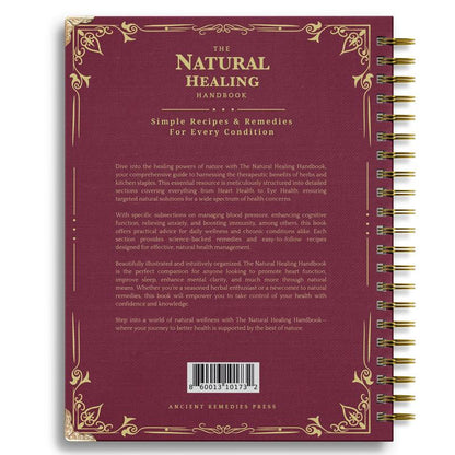 The Natural Healing Handbook