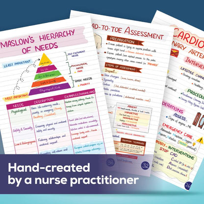 Ultimate Nursing Success Bundle