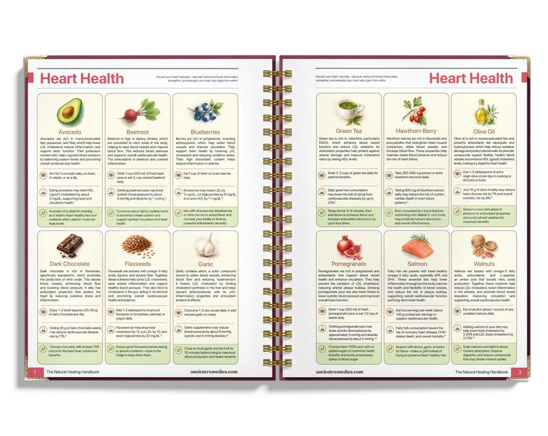 The Natural Healing Handbook