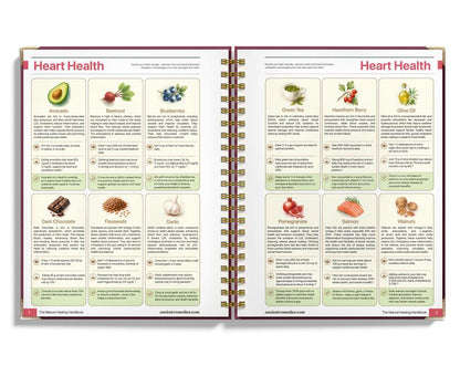 The Natural Healing Handbook